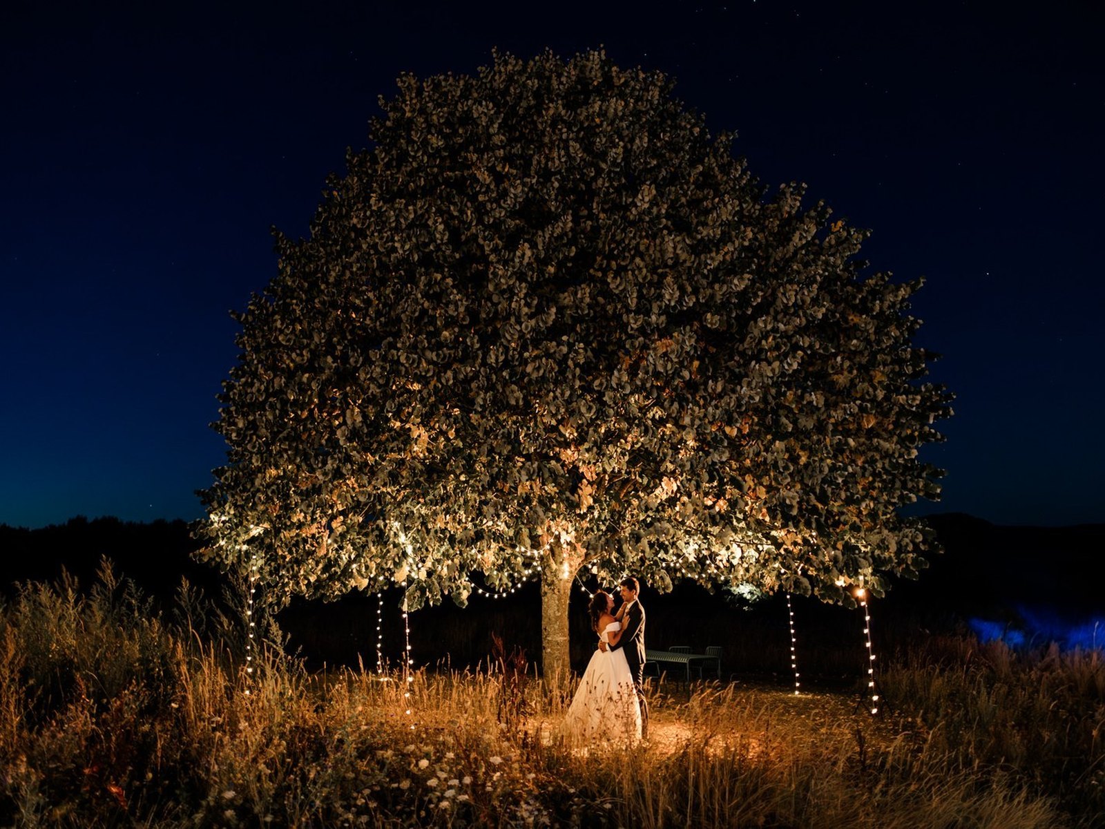 The couple beneath the festoon-lit tree after dark