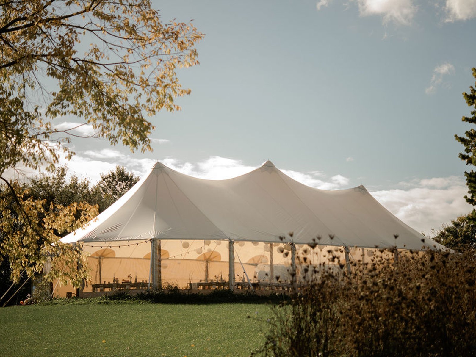 The wedding in the heart of nature