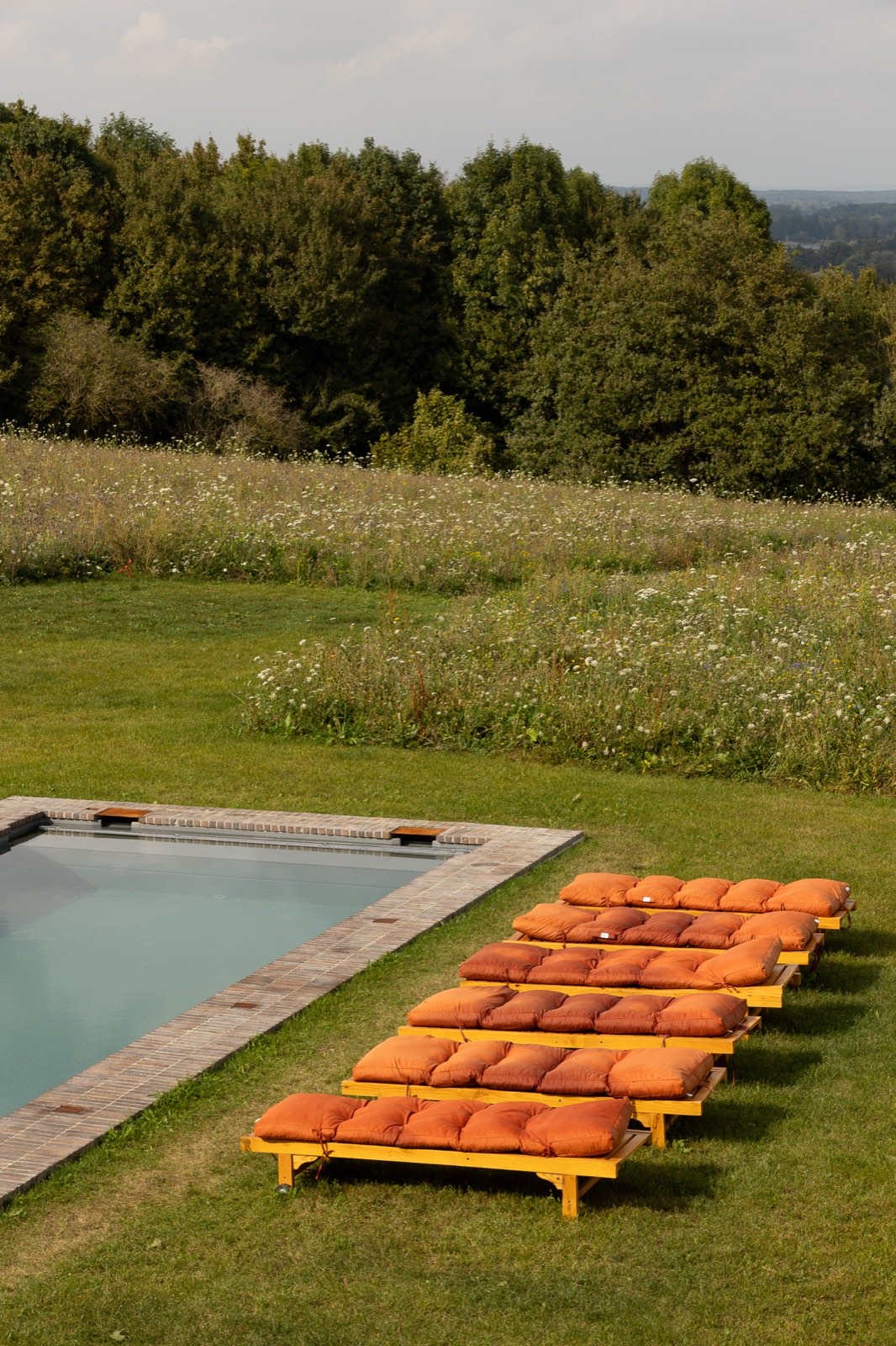 Piscine et prairie